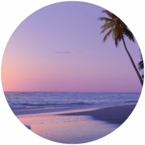 Tropical Sunrise Splashback
