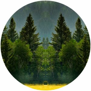Forest Rain Storm Splashback
