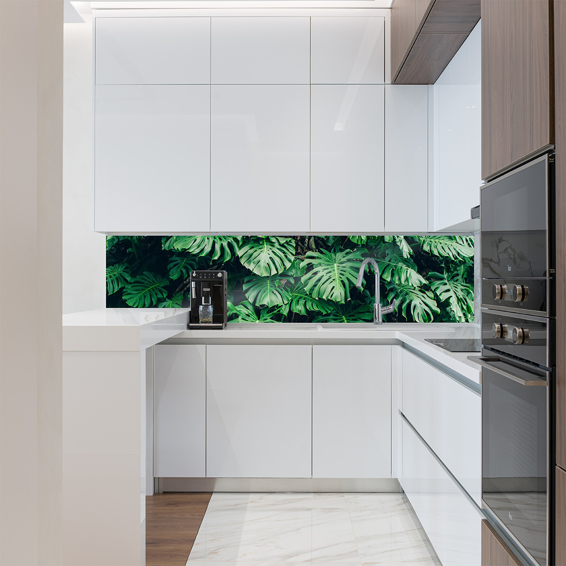 Monstera Plant Splashback Monstera Plant Splashback