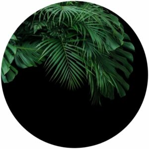 Jungle Shrub Splashback