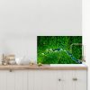 aerial view of bright green forest with winding river Splashback