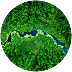 aerial view of bright green forest with winding river Splashback
