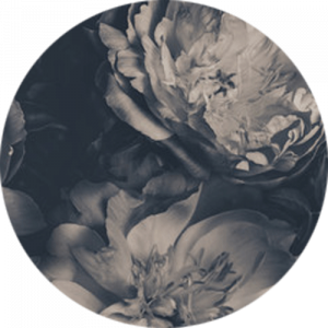 Atmospheric Peonies Splashback
