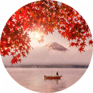 Autumn at Mount Fuji Splashback