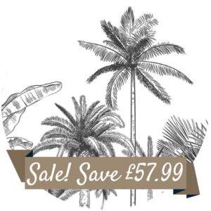 Palms Sketch Splashback