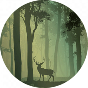 Deciduous Forest with Birds and Deer Splashback