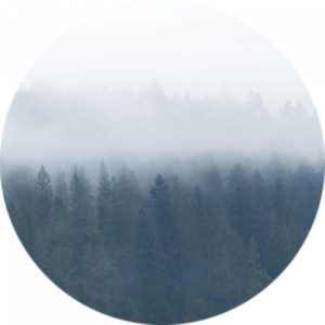 Foggy Mountain Splashback