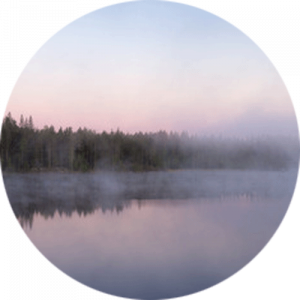 Forest Lake with Fog Splashback