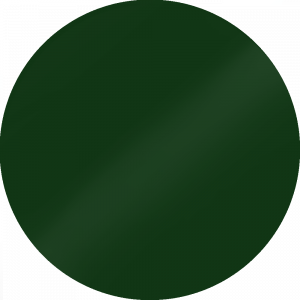 Green Fern Splashback Sample