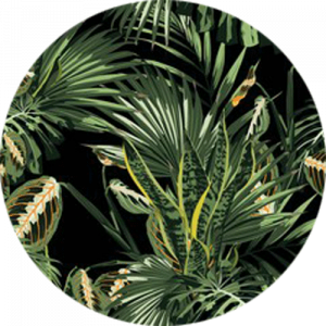 Hawaii Jungle Splashback