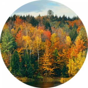 Lake Autumn Foliage Splashback