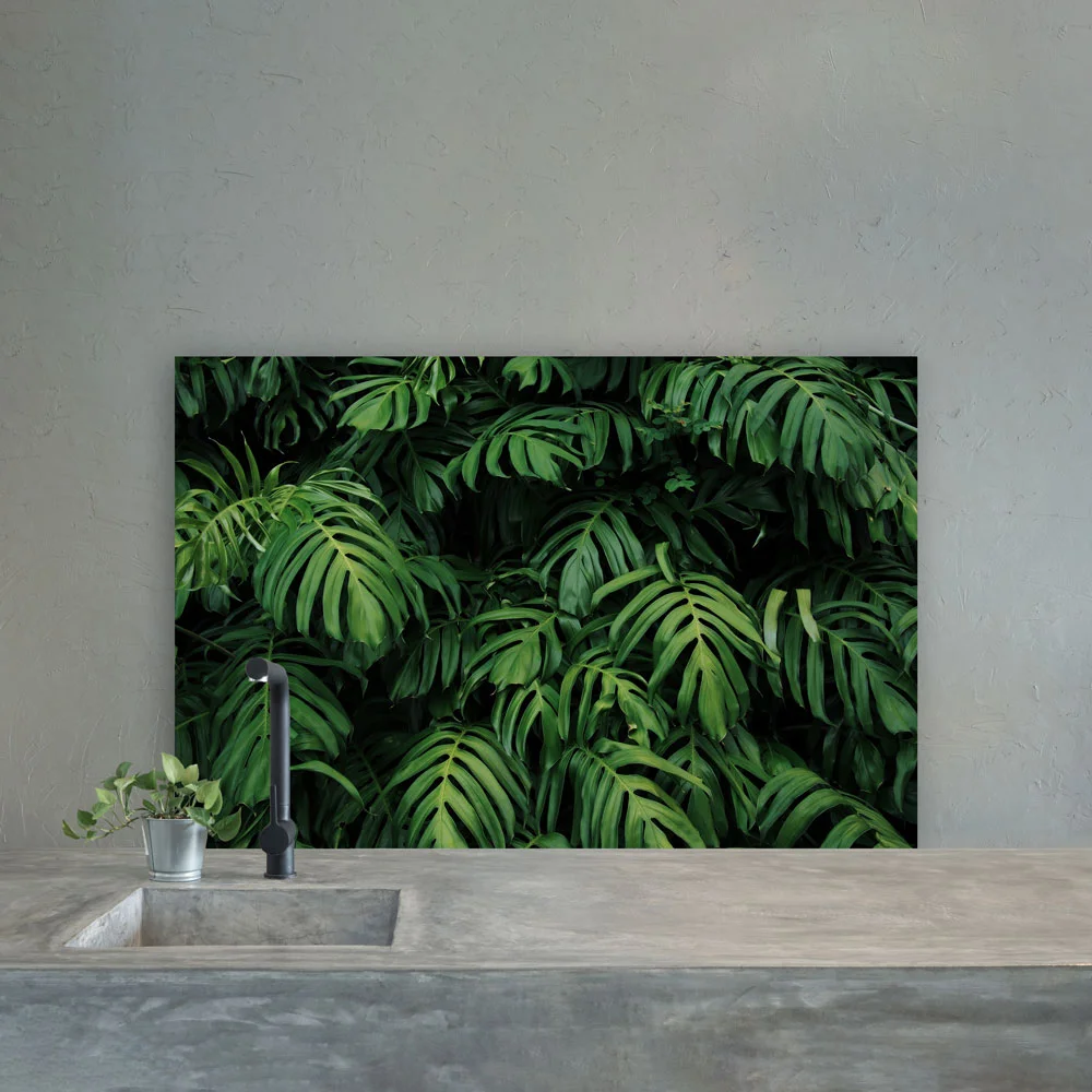 Wild Monstera Splashback Wild Monstera Splashback
