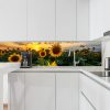 Panoramic Sunflowers Splashback