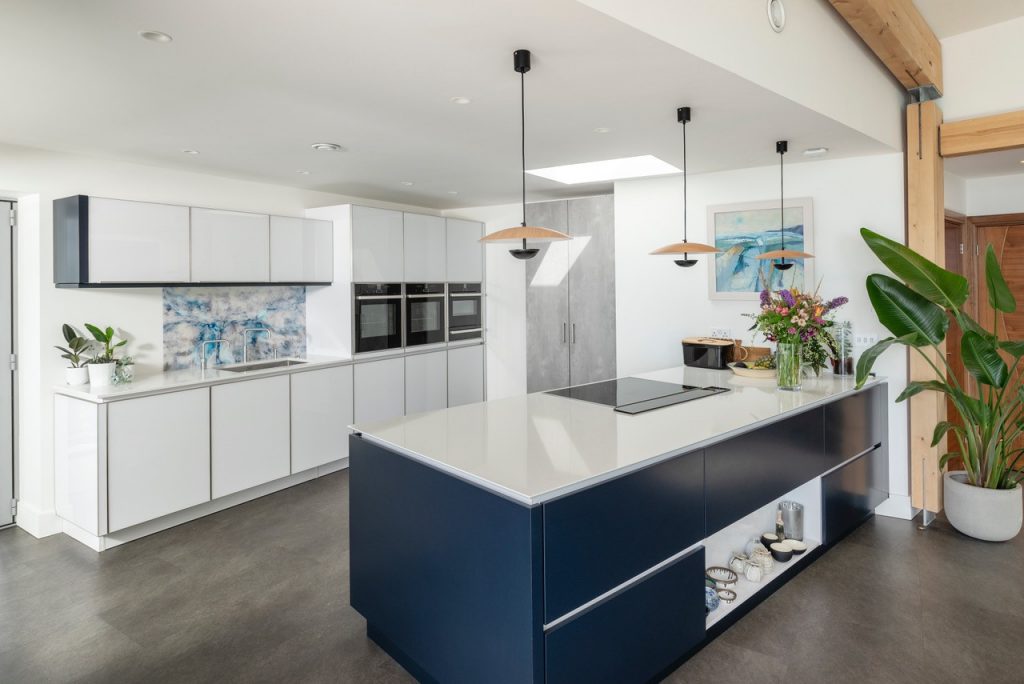 Stunning modern kitchen with big green plant and dark blue counter, abstract kitchen splashback.